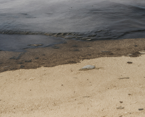 Herpolli Oil Leakage